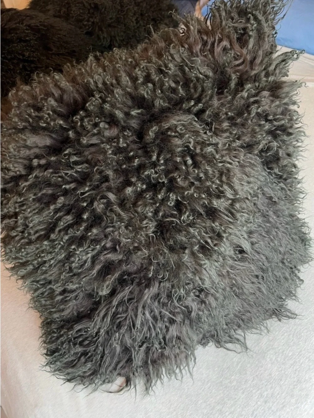 Mongolian Sheep throw pillows 100% wool black & green down inserts 22